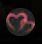 SecretCrush AI